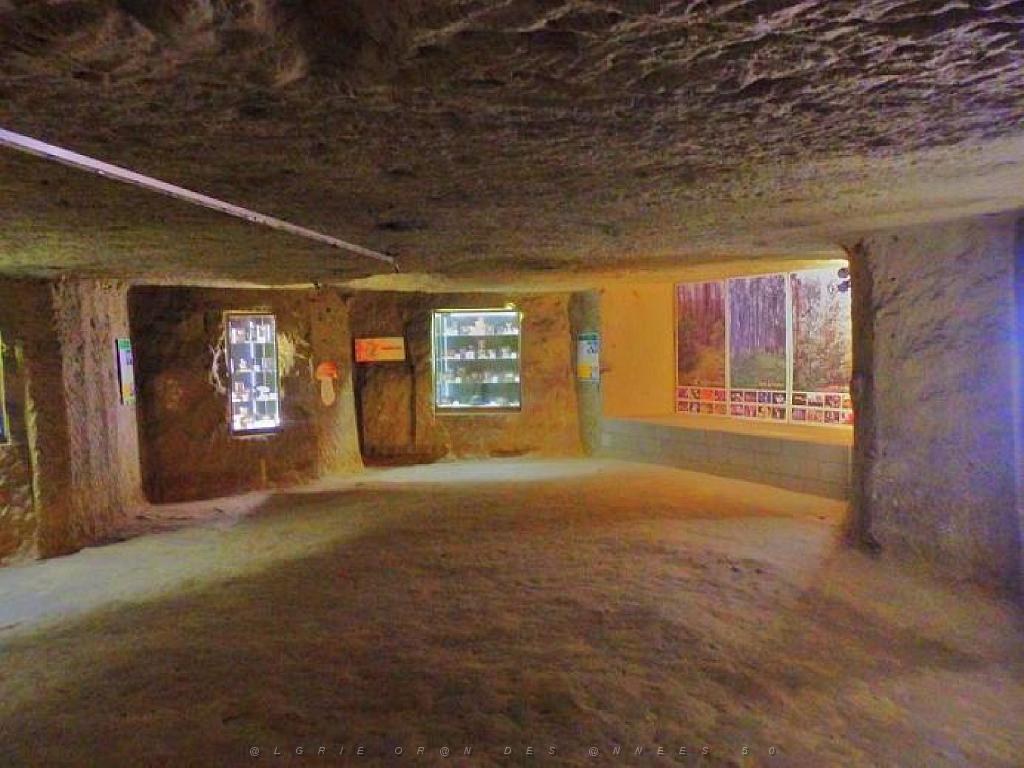 149 MUSEE DU CHAMPIGNON A  SAUMUR 2016 2_000021.jpg